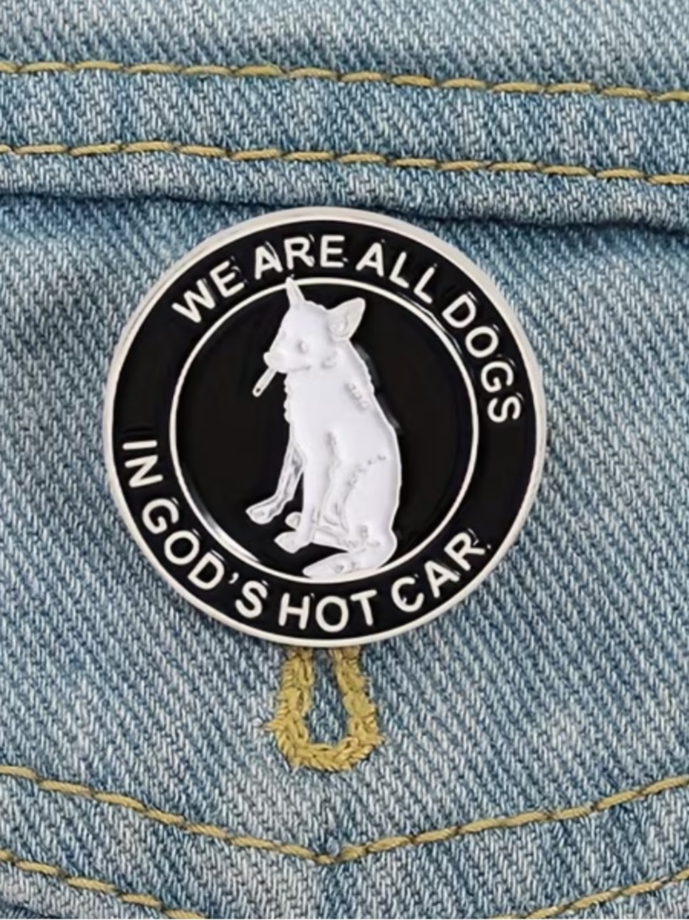 Enamel Pin - 'We Are All Dogs in God's Hot Car' Black & White